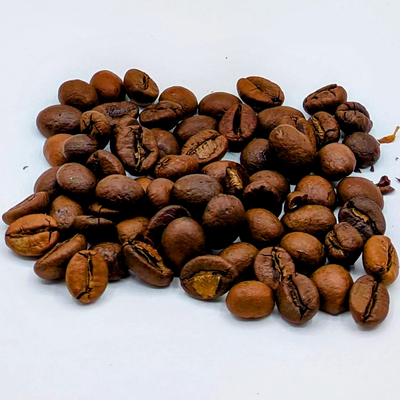 India Cherry AA / AB 100% robusta